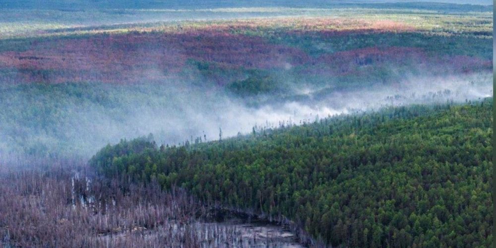 Siberia incendios