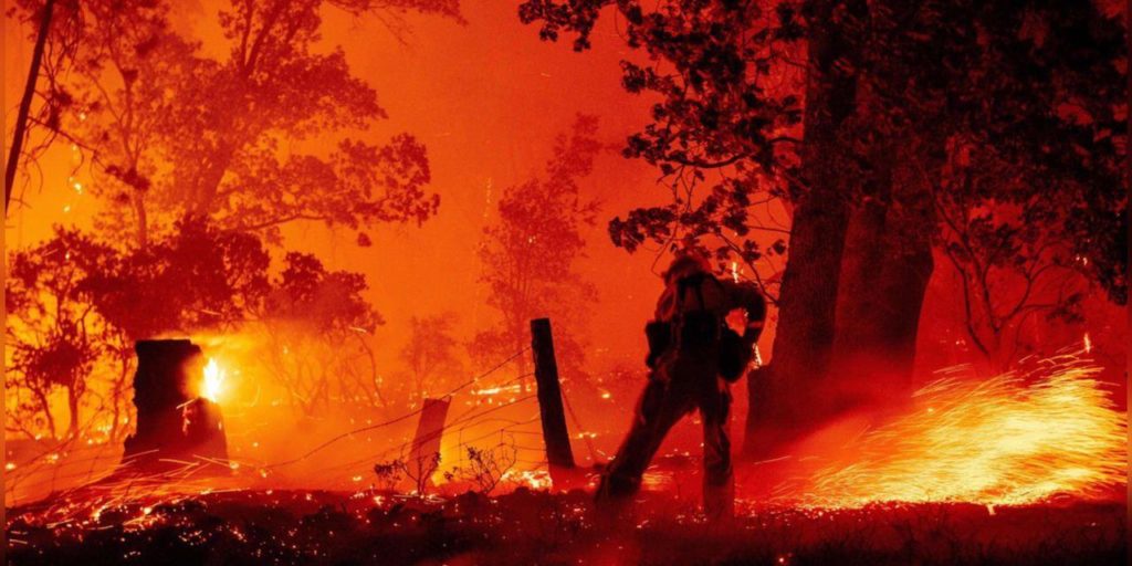 gender reveal incendios