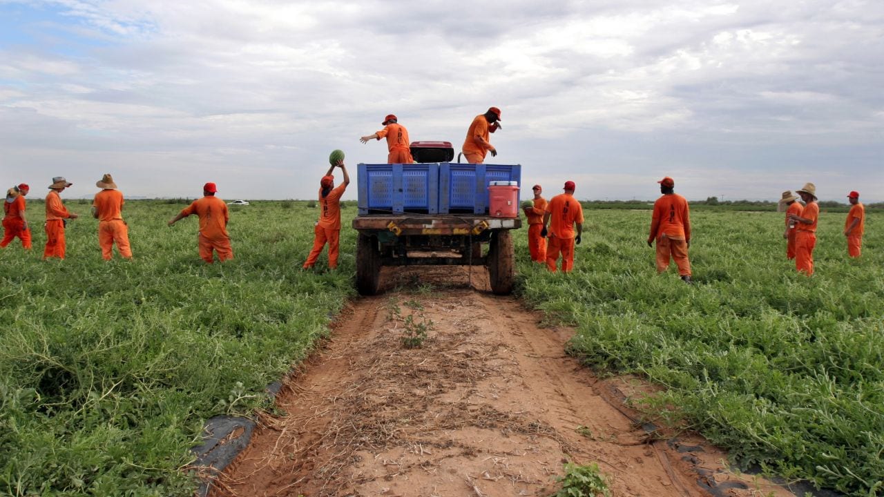 Perú quiere que reos trabajen.