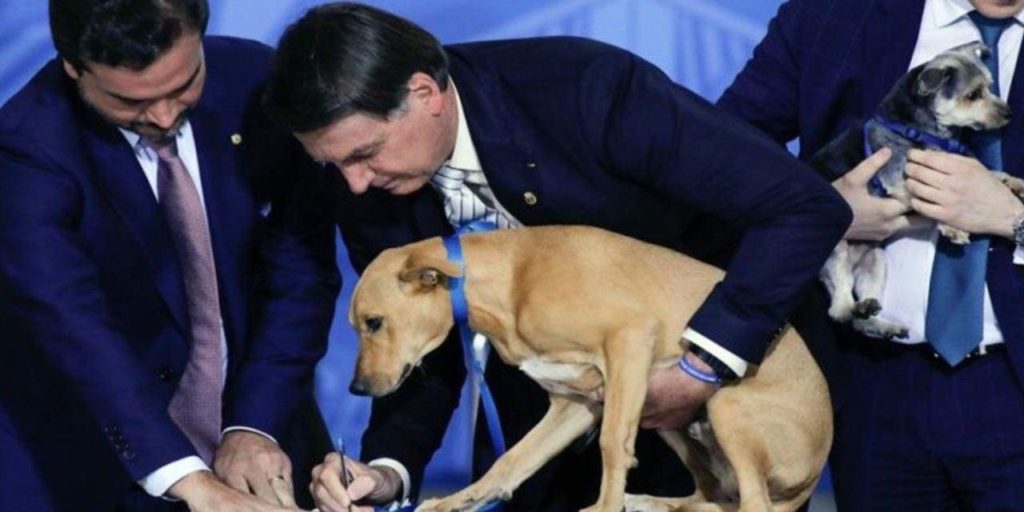 Bolsonaro firma ley con su perro