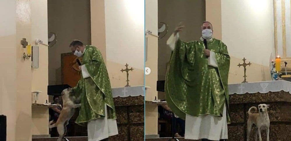 Sacerdote acoge y lleva perritos callejeros a misa para promover la adopción.