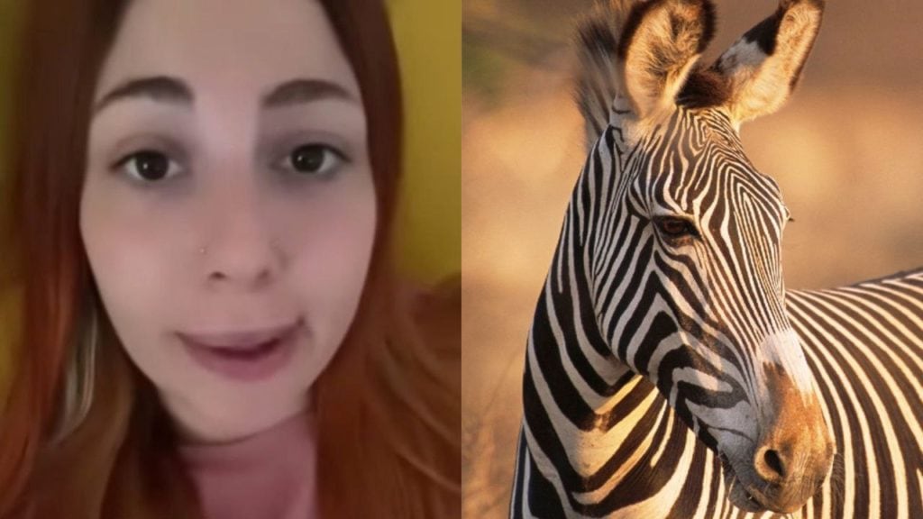 Mujer que se cree cebra denuncia que la rechazaron de un refugio