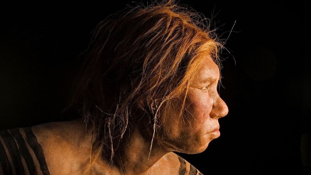 Descubren una especie de ADN distinta al Homo sapiens y neandertales