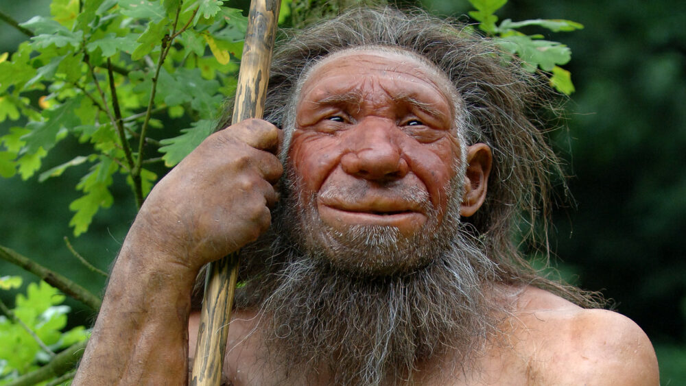 neandertal ADN genéticas madrugadores