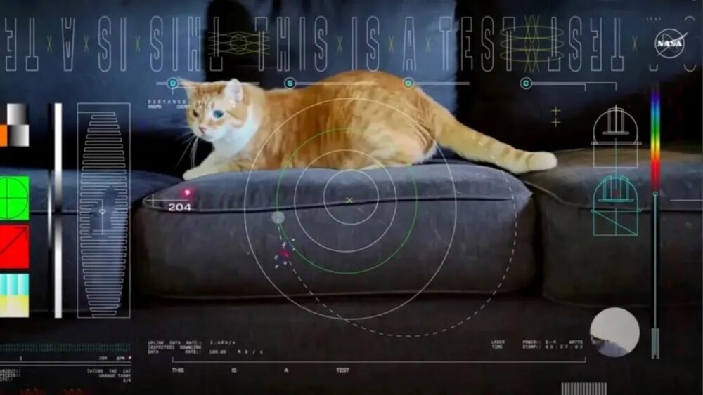video NASA gato Taters