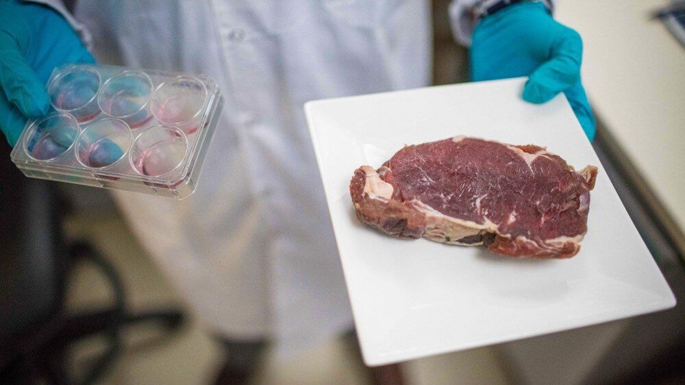 Israel es el primer país en autorizar la venta de carne de vacuno cultivada