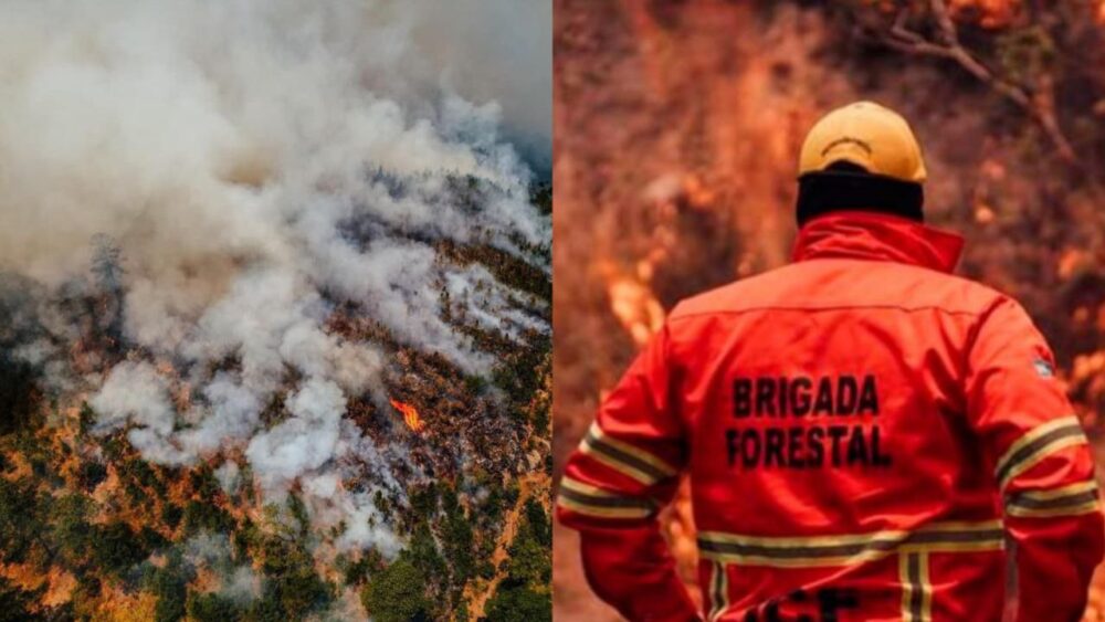 Honduras: Identifican a una persona responsable de provocar el incendio en La Tigra