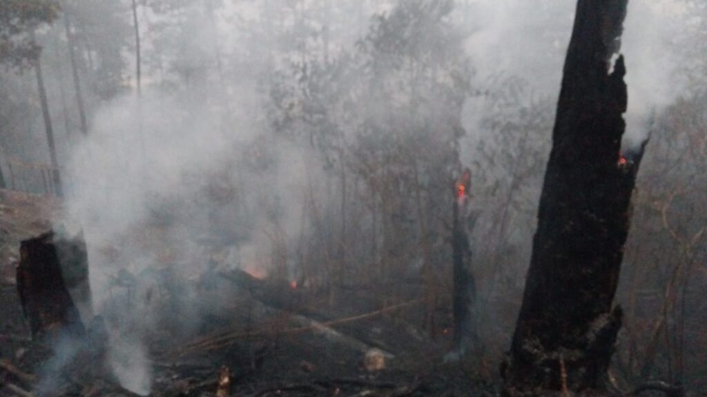 Impactantes imágenes de La Tigra, el pulmón de la capital hondureña, tras voraz incendio