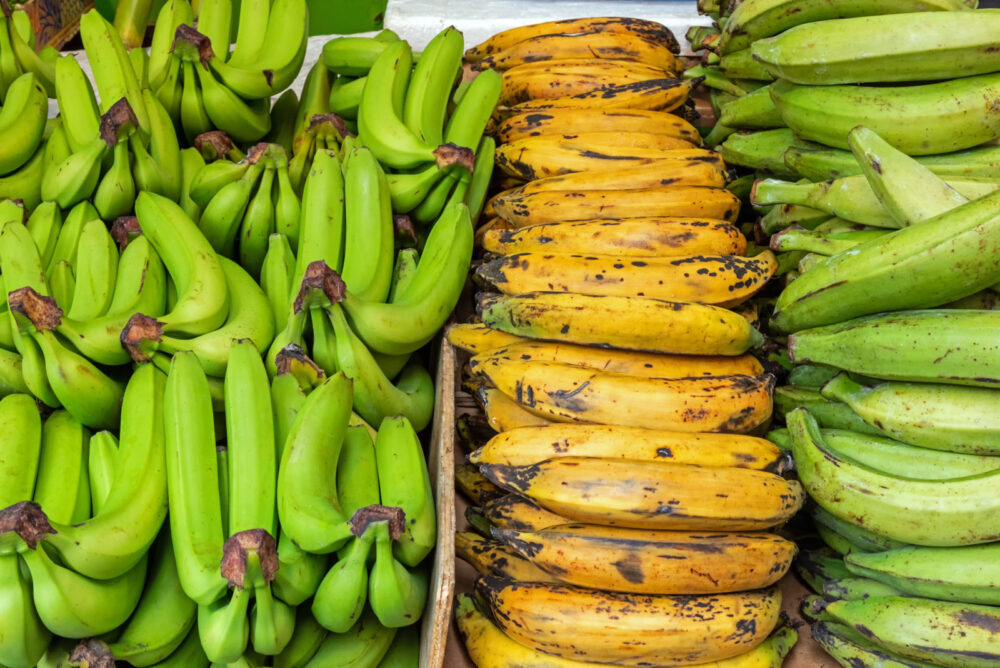 cocaina platanos alemania