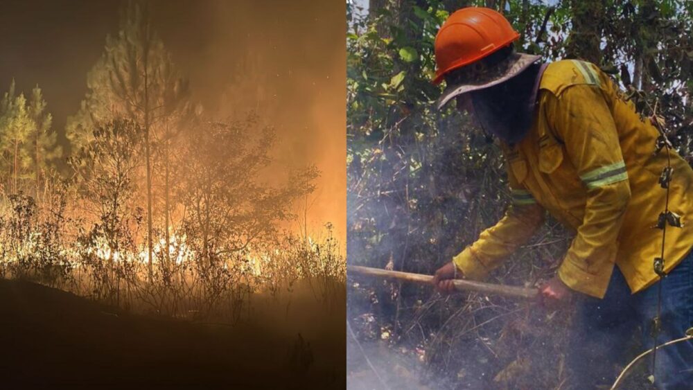 Caos ambiental se desata en Honduras: Se registra fuerte incendio en la reserva biológica de Misoco