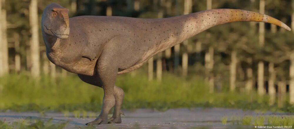 dinosaurio fosil