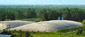 Empresa Dinant expresa su voluntad de solucionar el conflicto en el Bajo Aguán