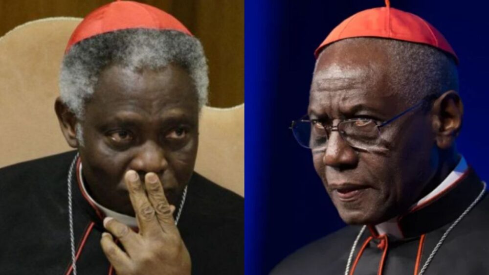 papa negro