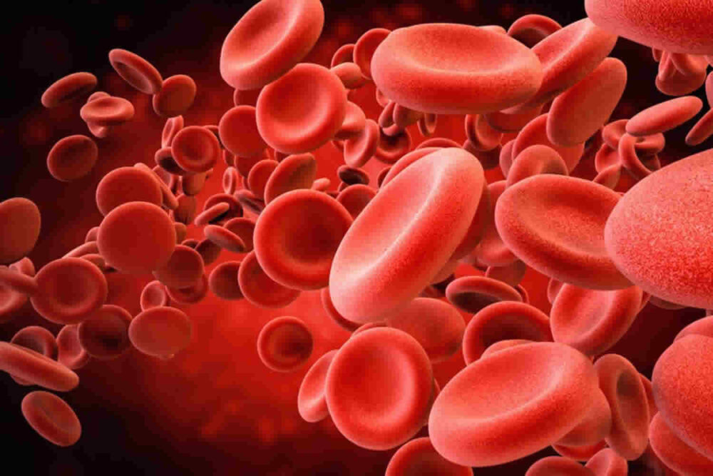 sangre cientificos