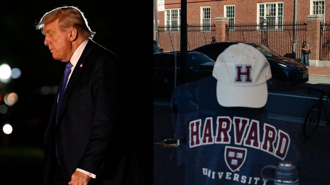 extranjeros matriculados en Harvard 