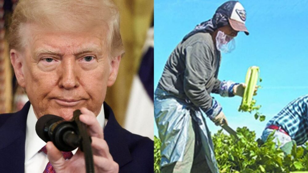 Trump pausará las redadas migratorias
