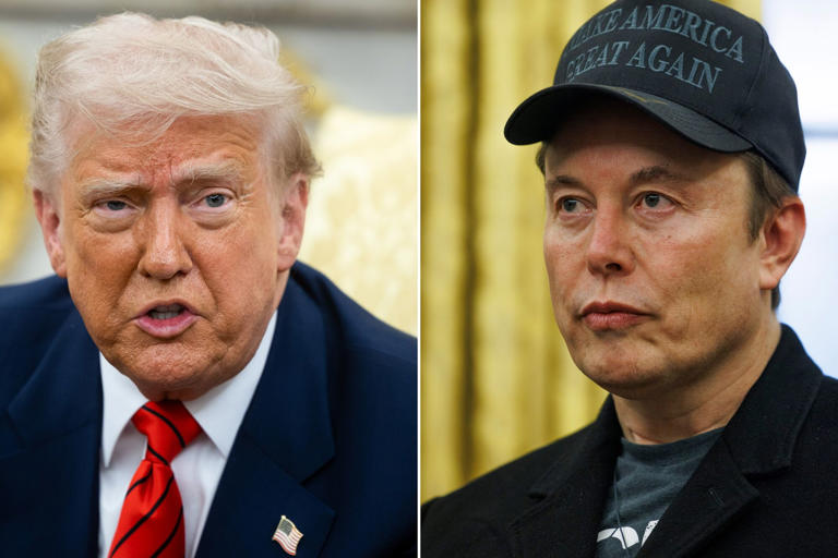 trump elon