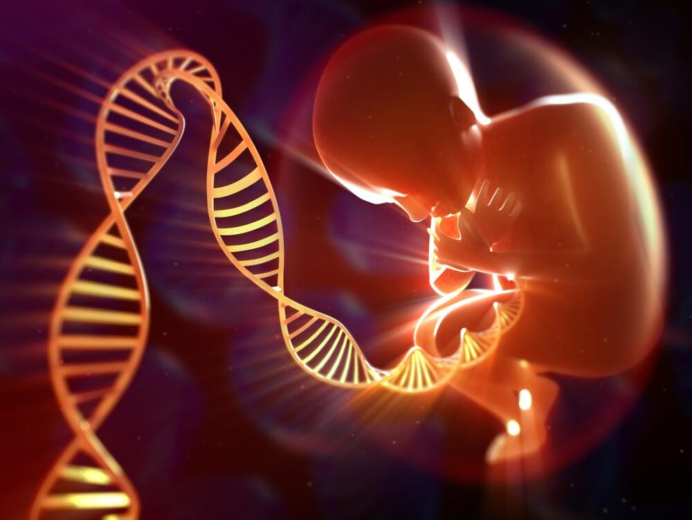 DNA Bebe
