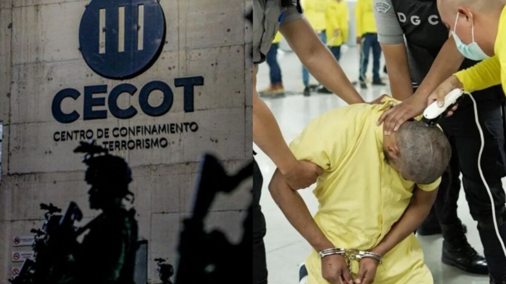 máxima seguridad