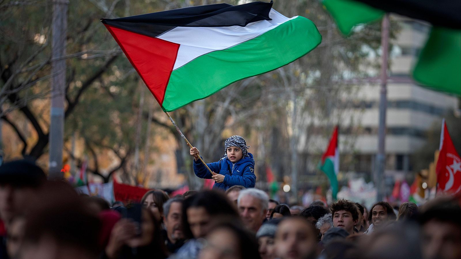 al reconocimiento de Palestina como Estado 