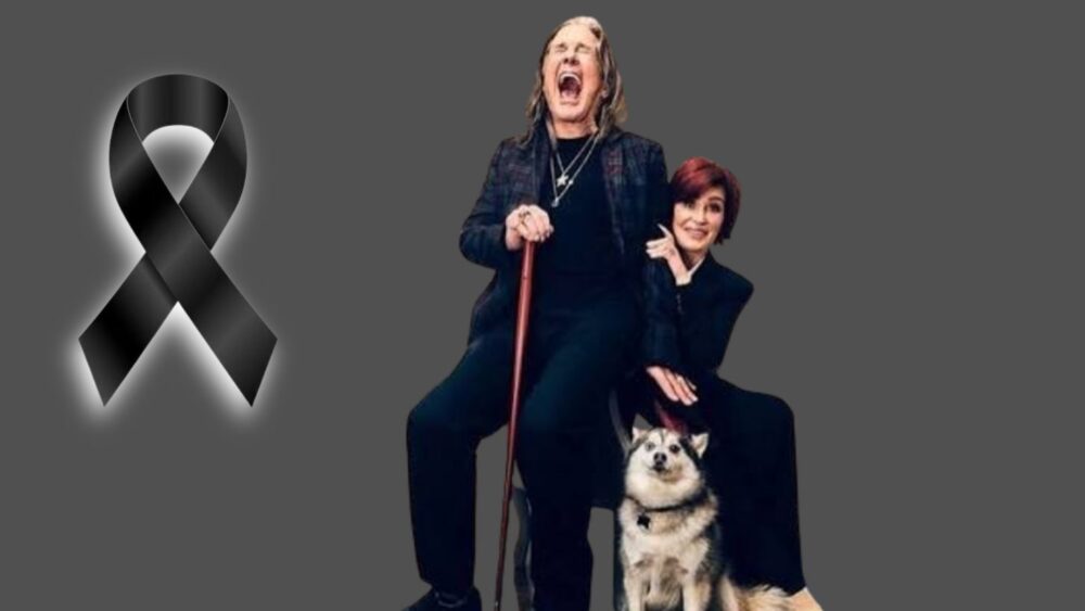 perro ozzy