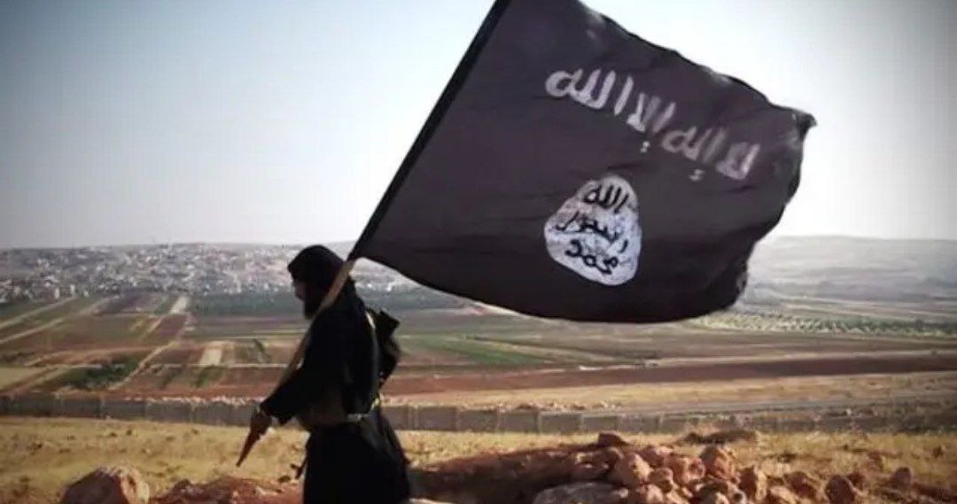 estado islámico
