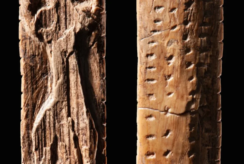 descubrimiento figuras